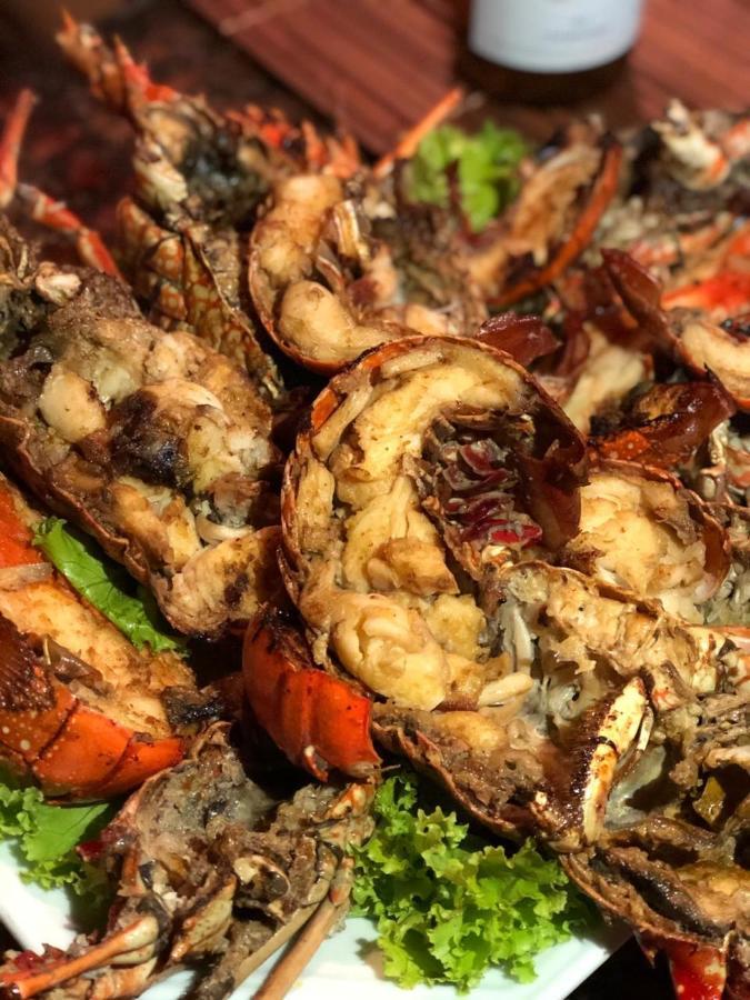 فندق Campos Elisios Boipeba Velha Boipeba المظهر الخارجي الصورة